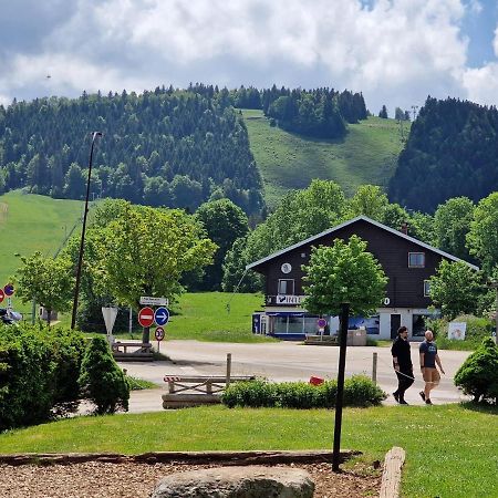 Place Royale Pour 10 A 12 Personnes A 30 Met Des Pistes De Ski Et Vtt Metabief Exterior photo
