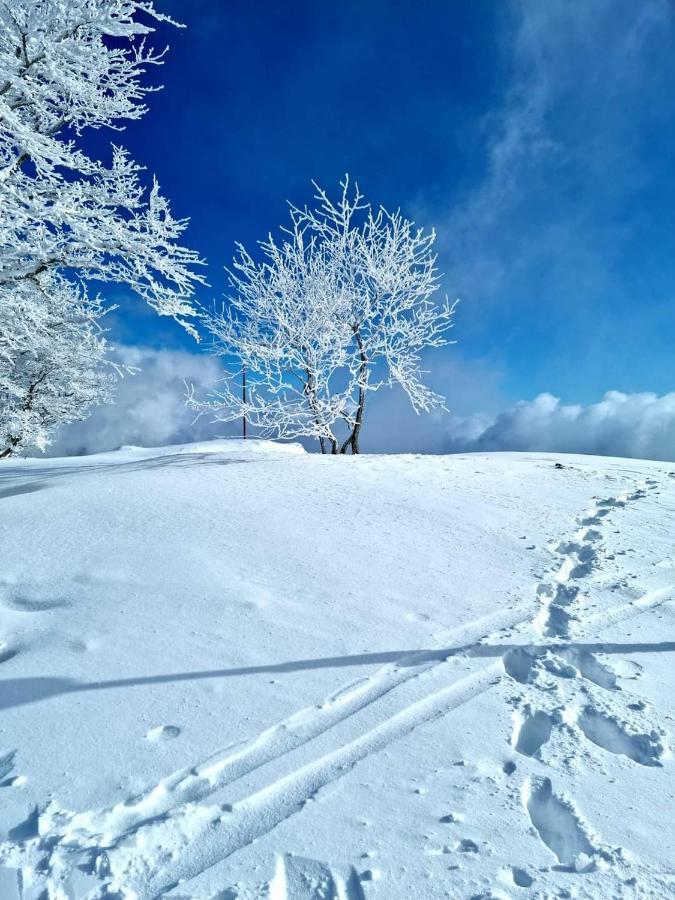 Place Royale Pour 10 A 12 Personnes A 30 Met Des Pistes De Ski Et Vtt Metabief Exterior photo