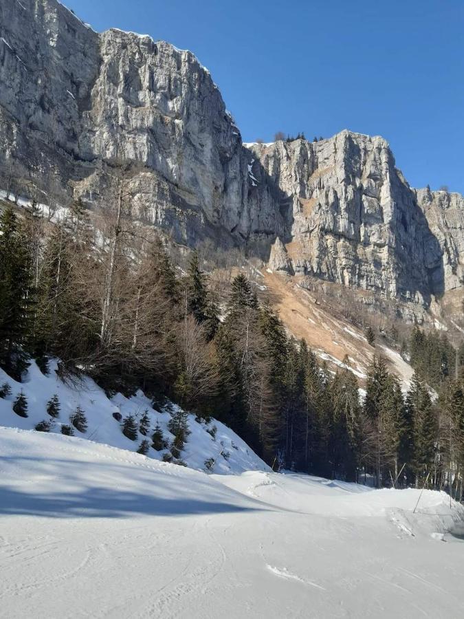 Place Royale Pour 10 A 12 Personnes A 30 Met Des Pistes De Ski Et Vtt Metabief Exterior photo