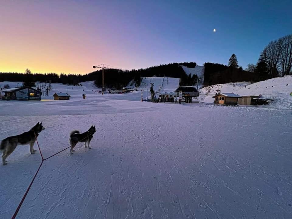 Place Royale Pour 10 A 12 Personnes A 30 Met Des Pistes De Ski Et Vtt Metabief Exterior photo